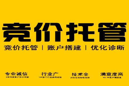 百度竞价排名实战：关键词优化与落地页优化案例